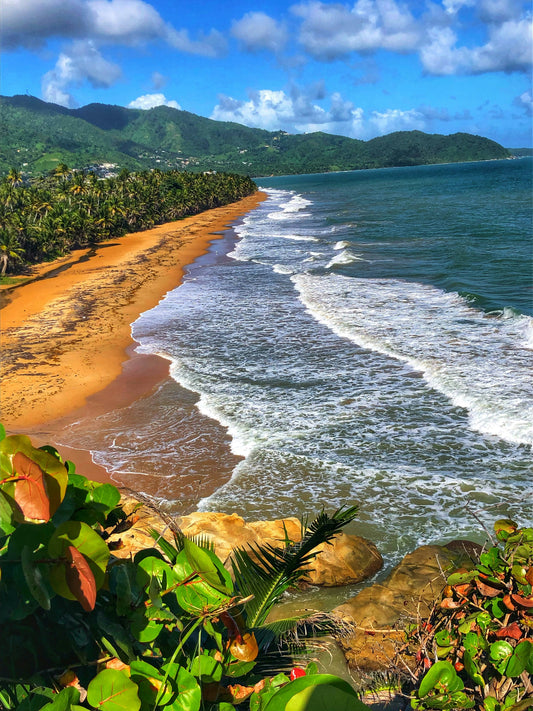 Puerto Rico, San Juan - Arlanda