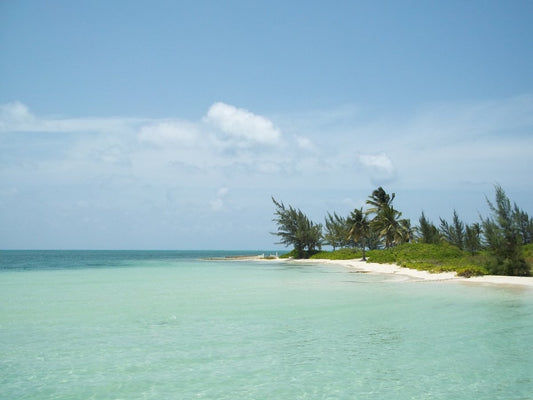 Caymanöarna, Grand Cayman - Pass på priset